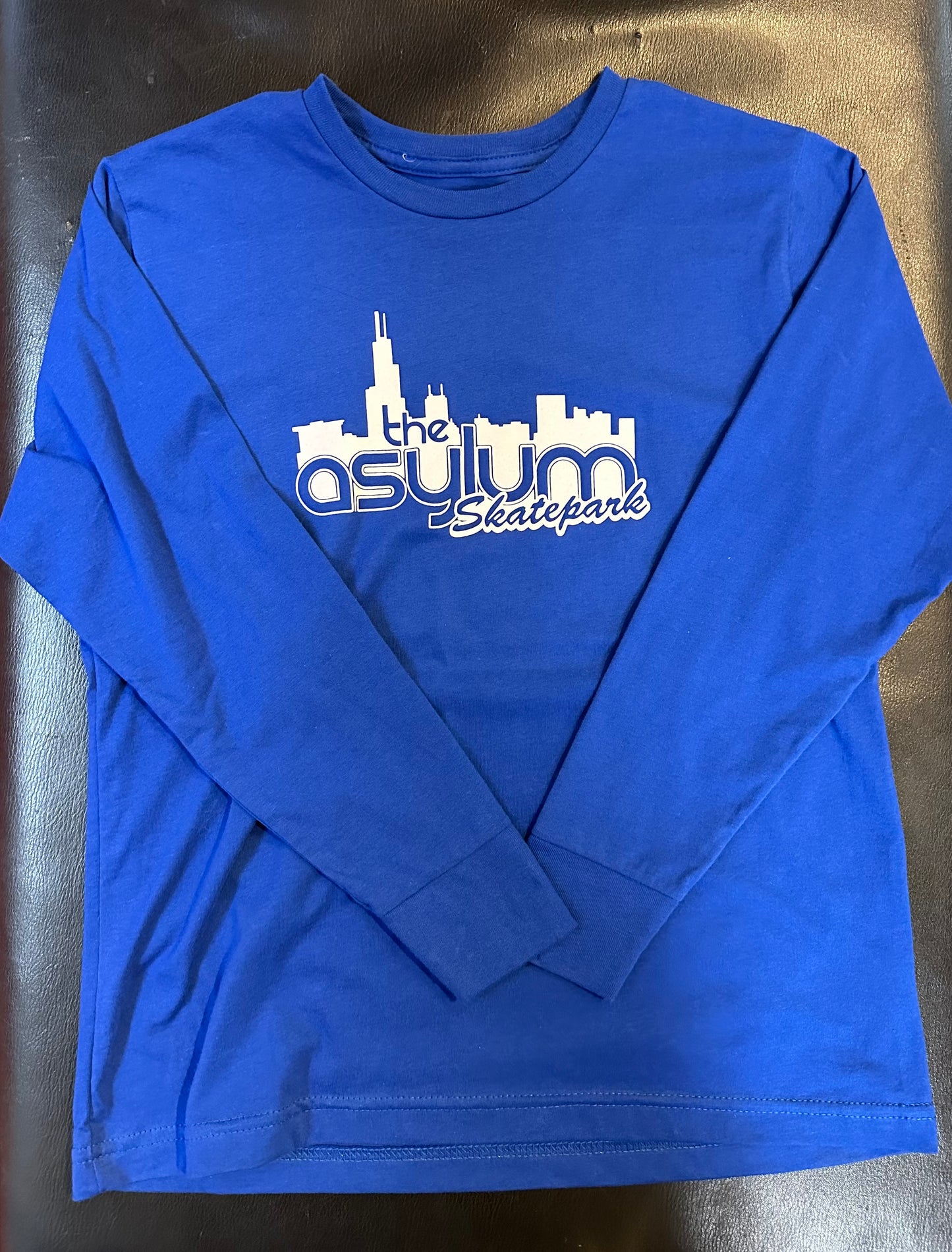 The Asylum Skatepark Long Sleeve T-Shirt (Blue)