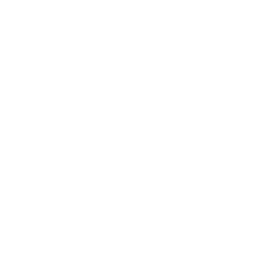 Skateboard icon
